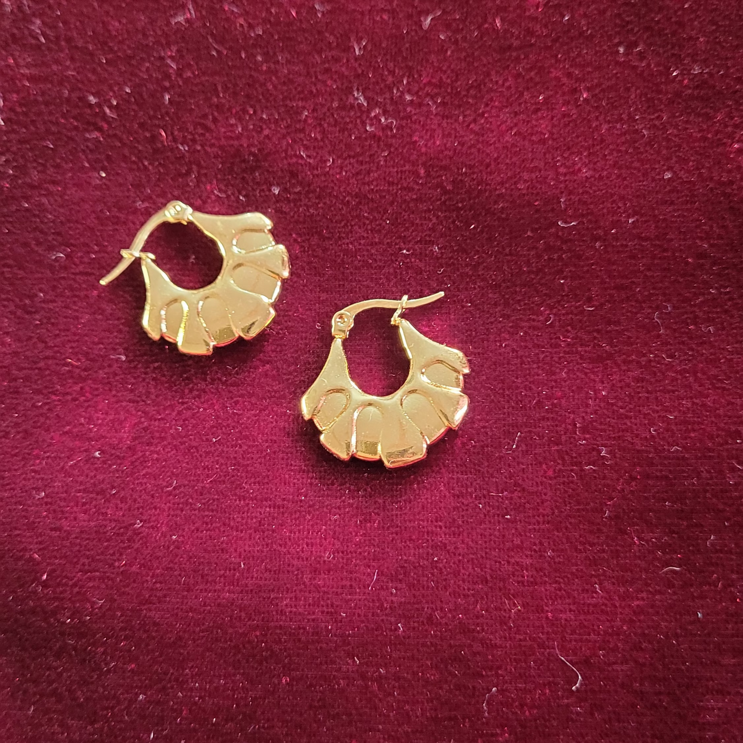 Hoops Earring
